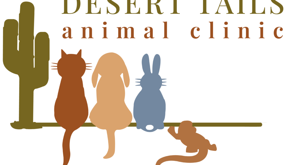 Best Veterinary Hospital In Scottsdale, AZ Desert Tails Animal Clinic