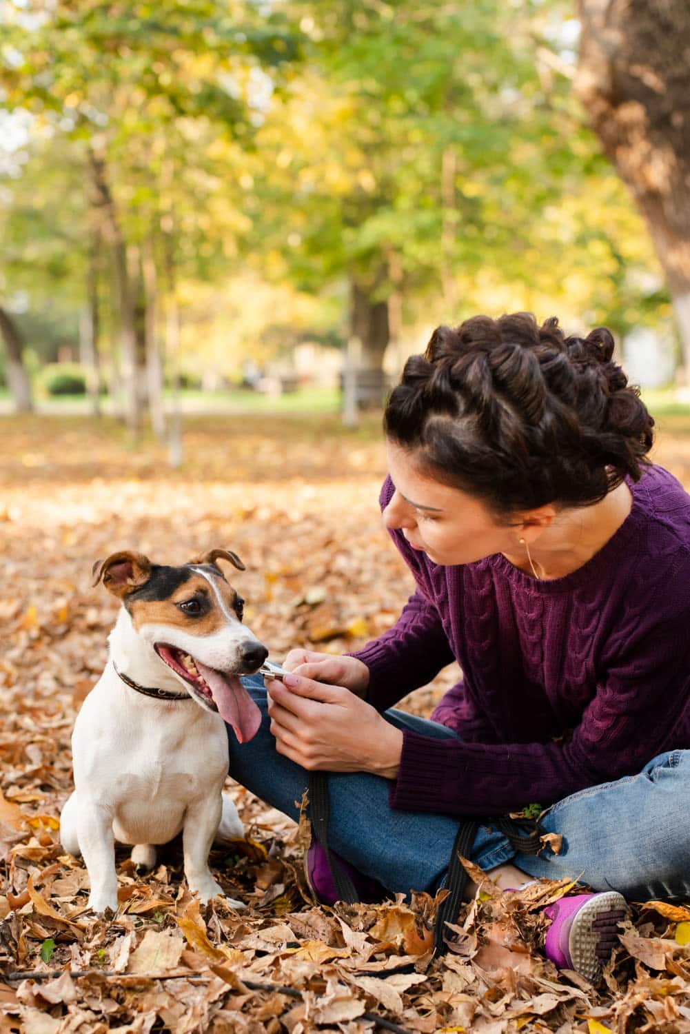 A person sits with a dog