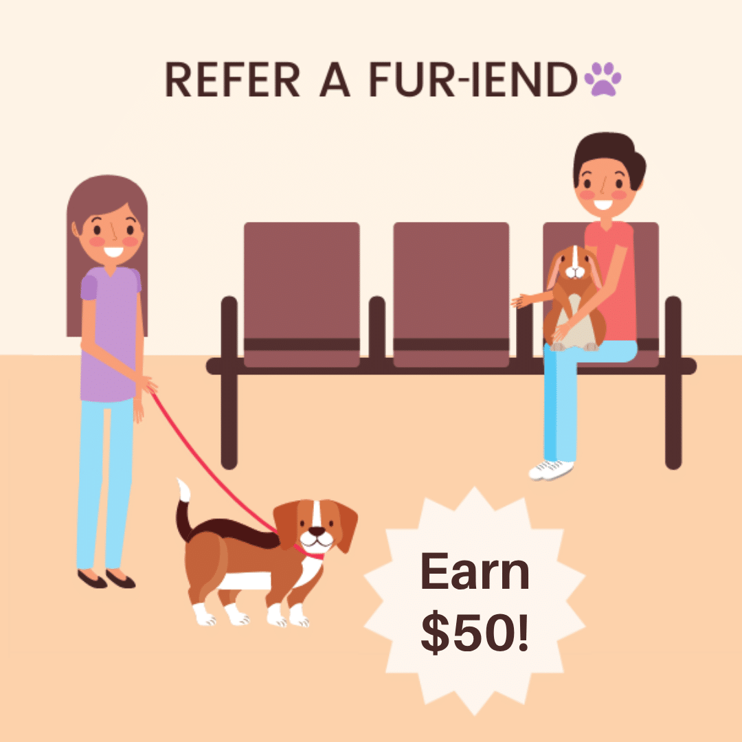 Fur-iends Social Graphics
